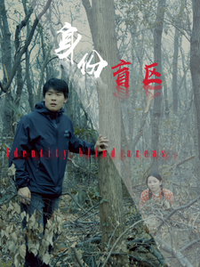 身份盲区(12集)