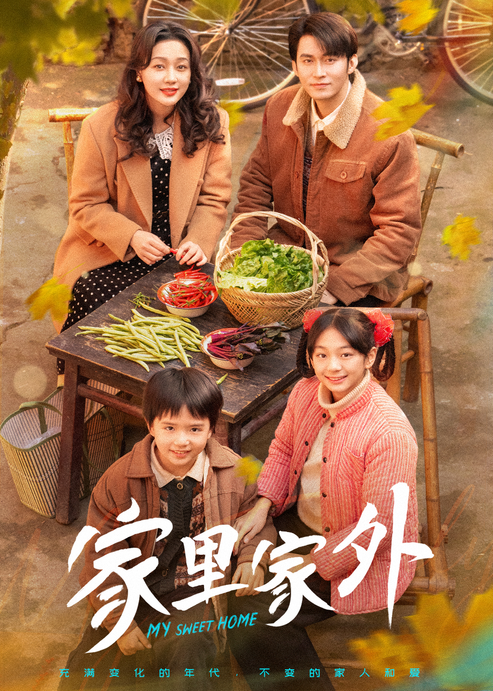 家里家外(79集)王道铁&孙艺燃